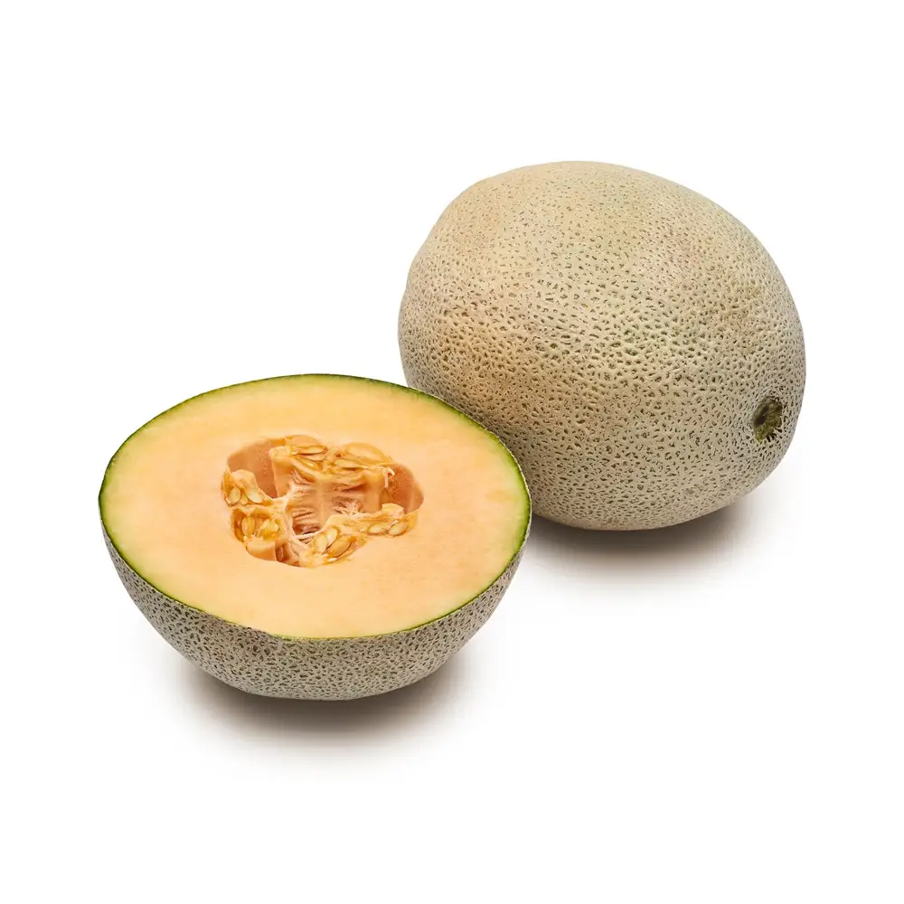 Cantaloupe