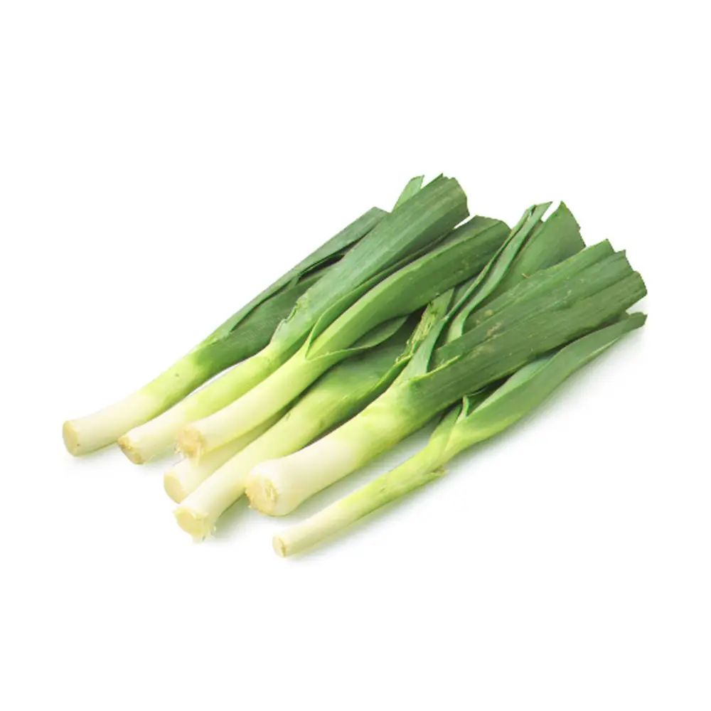 Garden-Fresh Spring Shoots