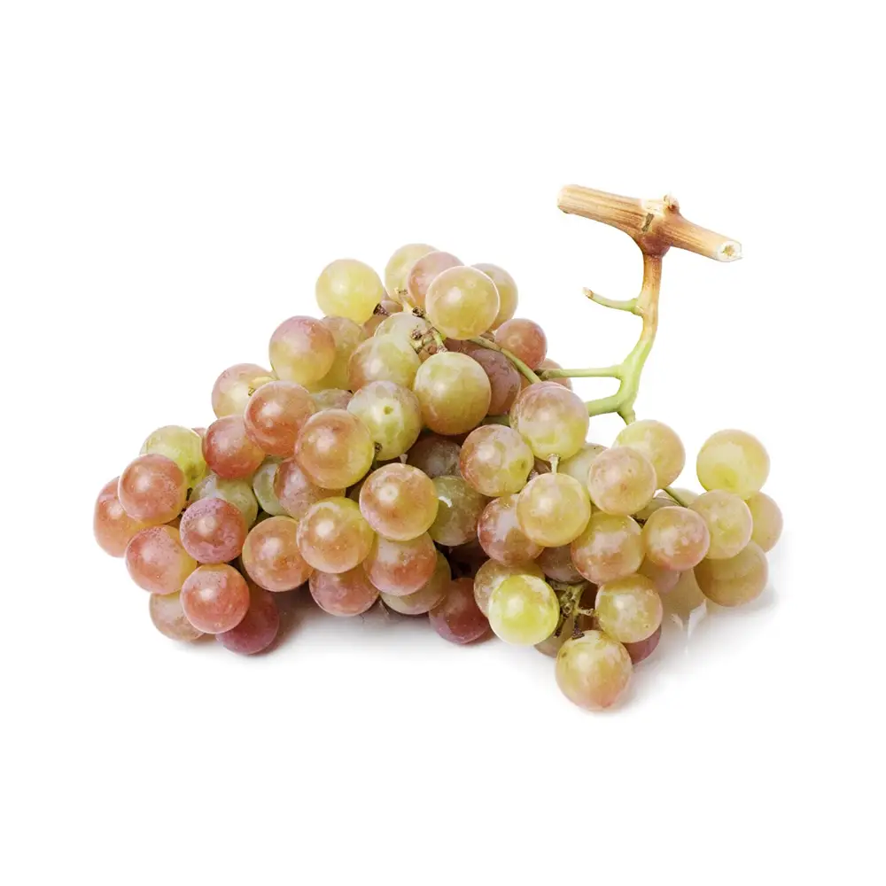 Muscat Grapes